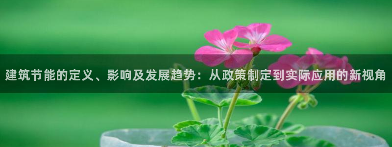 e尊国际可靠吗：建筑节能的定义、影响及发展趋势：从政策制定到实际应用的新视角