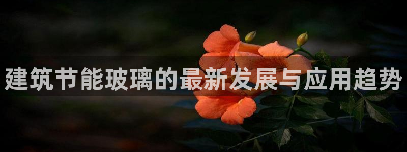 e尊国际官方网站：建筑节能玻璃的最新发展与应用趋势