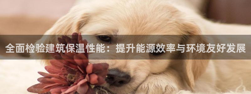 e尊国际7779：全面检验建筑保温性能：提升能源效率与环境友好发展
