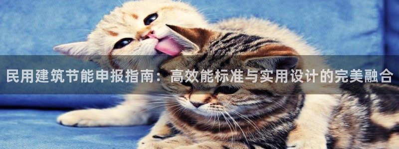 e尊国际是干什么的：民用建筑节能申报指南：高效能标准与实用设计的完美融合