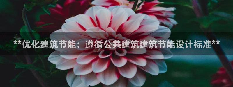 e尊国际地址：**优化建筑节能：遵循公共建筑建筑节能设计标准**