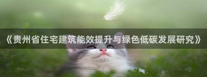 e尊国际-可可计划：《贵州省住宅建筑能效提升与绿色低碳发展研究》