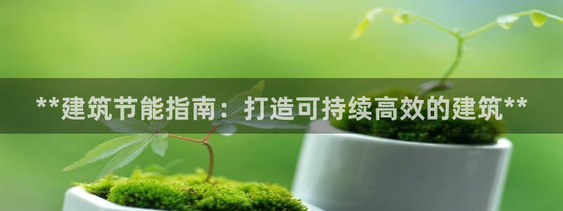 e尊国际平台：**建筑节能指南：打造可持续高效的建筑**