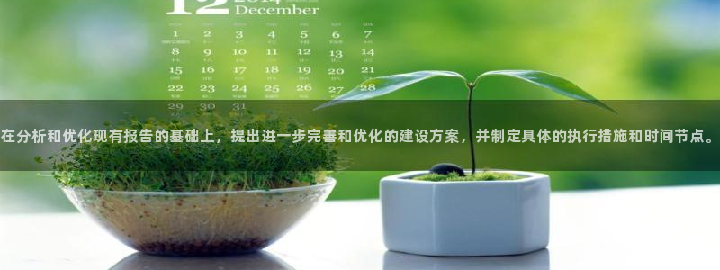 e尊国际官网app：在分析和优化现有报告的基础上，提出进一步完善和优化的建设方案，并制定具体的执行措施和时间节点。