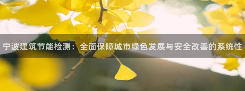 e尊国际客服：宁波建筑节能检测：全面保障城市绿色发展与安全改善的系统性