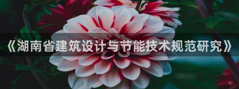 E尊国际网站：《湖南省建筑设计与节能技术规范研究》