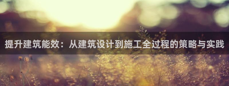 e尊官网：提升建筑能效：从建筑设计到施工全过程的策略与实践