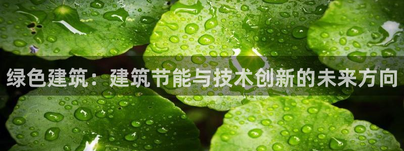 谁知道e尊国际的网址：绿色建筑：建筑节能与技术创新的未来方向