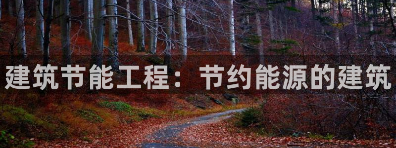 谁知道e尊国际的网址：建筑节能工程：节约能源的建筑