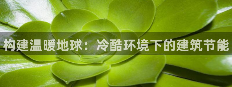 e尊国际娱乐官网下载：构建温暖地球：冷酷环境下的建筑节能