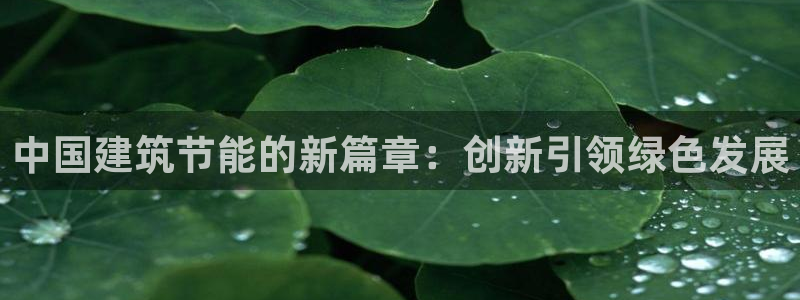 e尊国际平台：中国建筑节能的新篇章：创新引领绿色发展