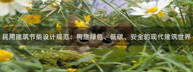 e尊电竞：民用建筑节能设计规范：构建绿色、低碳、安全的现代建筑世界