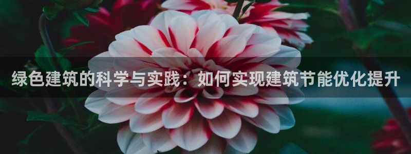 e尊国际官方网站：绿色建筑的科学与实践：如何实现建筑节能优化提升