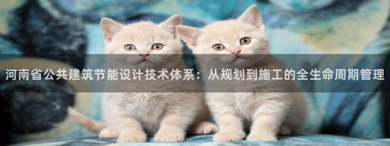 e尊国际官网·网址：河南省公共建筑节能设计技术体系：从规划到施工的全生命周期管理