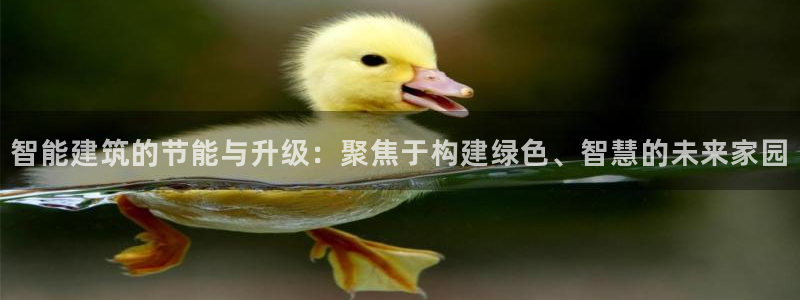e尊国际-可可计划：智能建筑的节能与升级：聚焦于构建绿色、智慧的未来家园