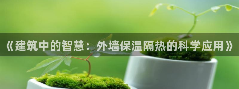 e尊国际可靠吗：《建筑中的智慧：外墙保温隔热的科学应用》