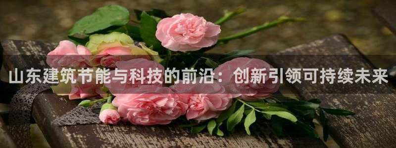 谁知道e尊国际的网址：山东建筑节能与科技的前沿：创新引领可持续未来