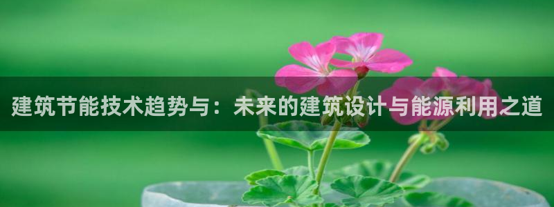 e尊国际娱乐官网地址：建筑节能技术趋势与：未来的建筑设计与能源利用之道
