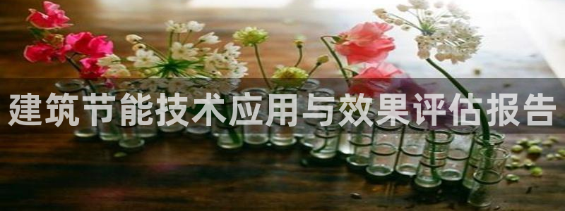 e尊国际可靠吗：建筑节能技术应用与效果评估报告