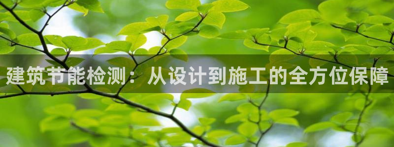 e尊国际平台：建筑节能检测：从设计到施工的全方位保障