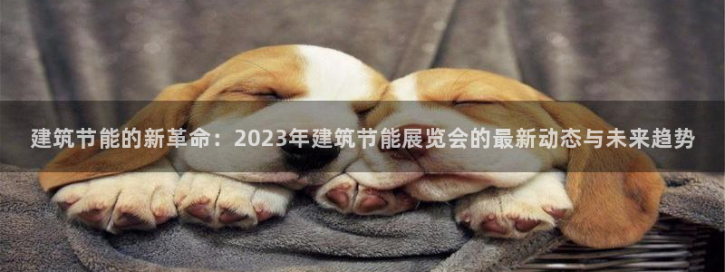 尊亿娱乐国际官网