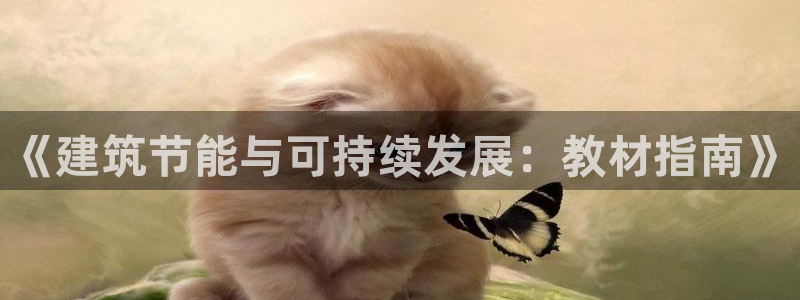 E尊国际网站：《建筑节能与可持续发展：教材指南》