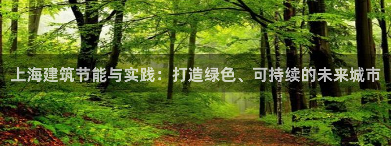 e尊国际的手机登录网站：上海建筑节能与实践：打造绿色、可持续的未来城市