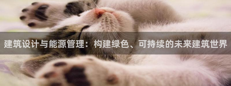 e尊国际app：建筑设计与能源管理：构建绿色、可持续的未来建筑世界
