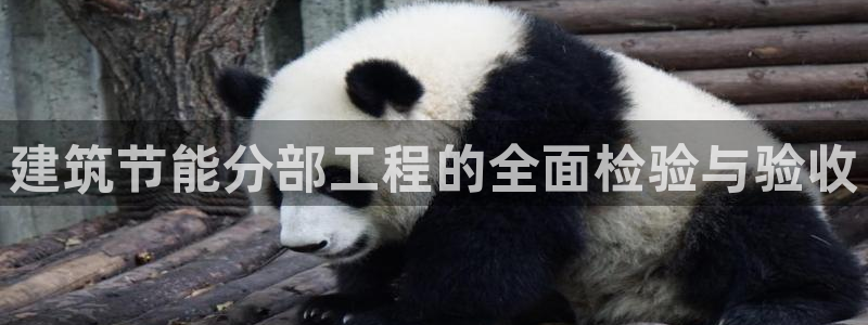 谁知道e尊国际的网址：建筑节能分部工程的全面检验与验收