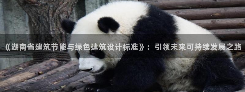 e尊国际是干什么的：《湖南省建筑节能与绿色建筑设计标准》：引领未来可持续发展之路