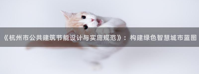 e尊国际官方网站：《杭州市公共建筑节能设计与实施规范》：构建绿色智慧城市蓝图