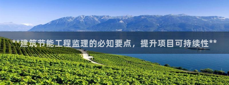 e尊体育：**建筑节能工程监理的必知要点，提升项目可持续性**