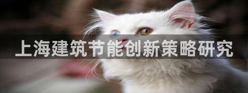 e尊国际是干什么的：上海建筑节能创新策略研究