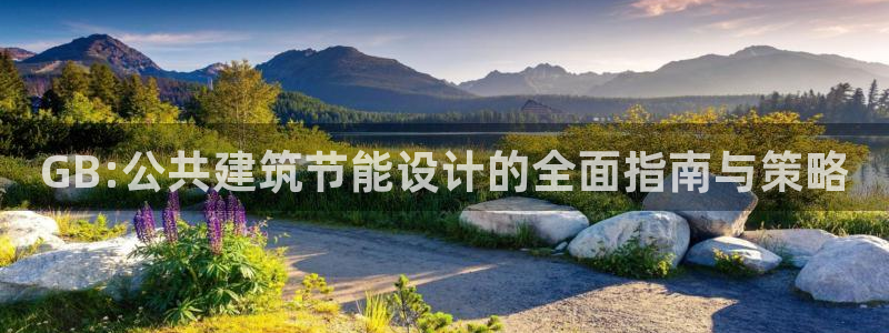 E尊国际：GB:公共建筑节能设计的全面指南与策略