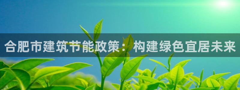 e尊国际平台：合肥市建筑节能政策：构建绿色宜居未来