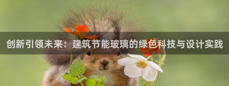 e尊国际可靠吗：创新引领未来：建筑节能玻璃的绿色科技与设计实践