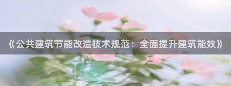 e尊国际-可可计划：《公共建筑节能改造技术规范：全面提升建筑能效》