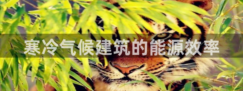 e尊国际娱乐官网地址