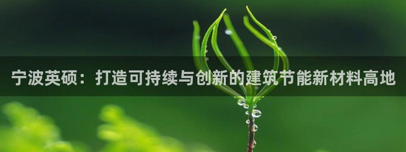 e尊国际客服：宁波英硕：打造可持续与创新的建筑节能新材料高地