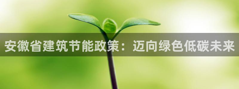 e尊国际的手机登录网站：安徽省建筑节能政策：迈向绿色低碳未来