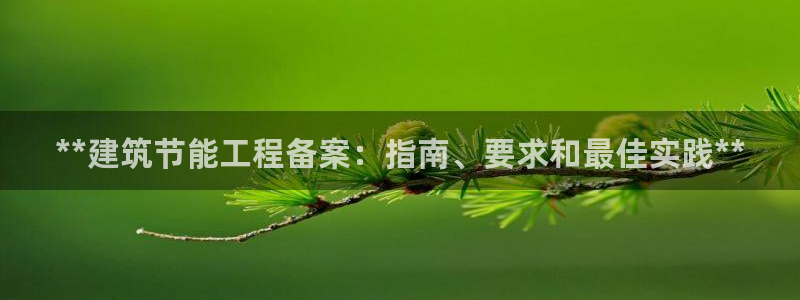 e尊国际客户端：**建筑节能工程备案：指南、要求和最佳实践**