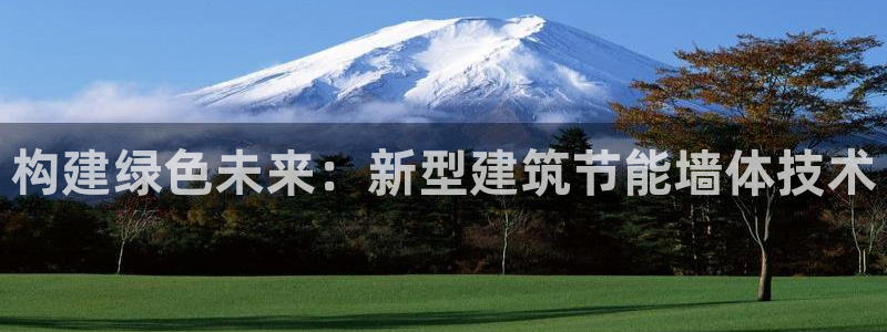 e尊国际的手机登录网站：构建绿色未来：新型建筑节能墙体技术