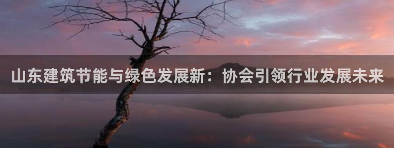 e尊国际是个黑网：山东建筑节能与绿色发展新：协会引领行业发展未来