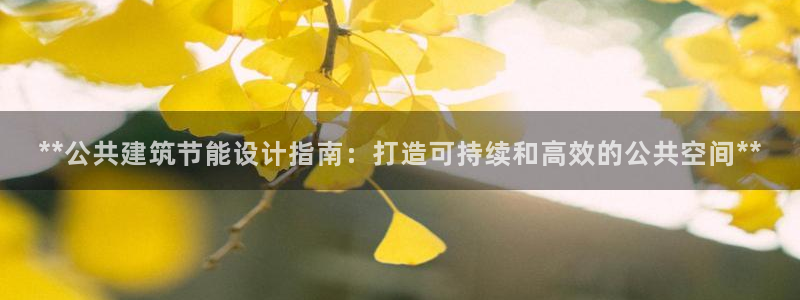 e尊体育：**公共建筑节能设计指南：打造可持续和高效的公共空间**