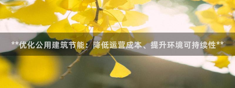 e尊电竞：**优化公用建筑节能：降低运营成本、提升环境可持续性**