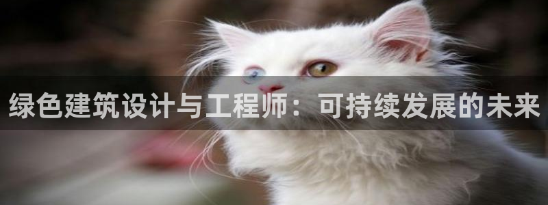 e尊国际平台：绿色建筑设计与工程师：可持续发展的未来