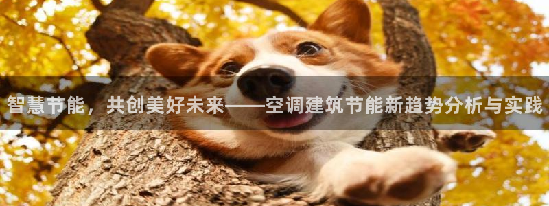 e尊国际客户端下载