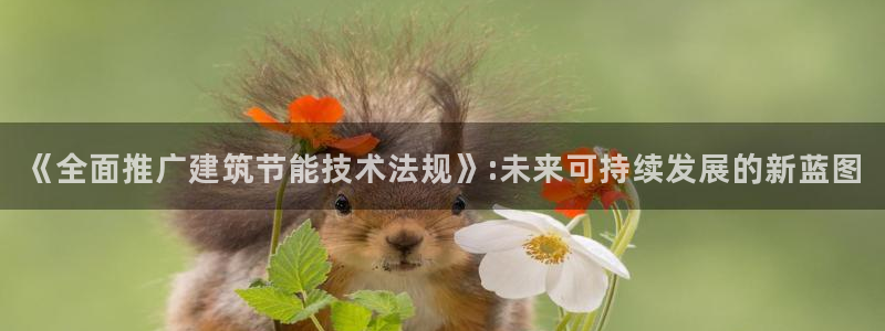 e尊国际官网·网址：《全面推广建筑节能技术法规》:未来可持续发展的新蓝图