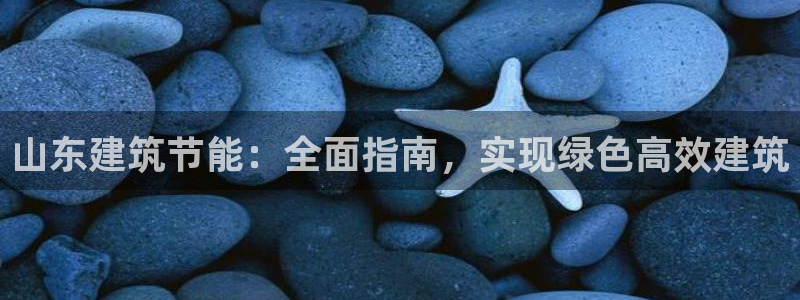 e尊国际网址：山东建筑节能：全面指南，实现绿色高效建筑
