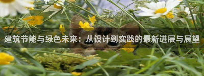 e尊国际客户端下载：建筑节能与绿色未来：从设计到实践的最新进展与展望